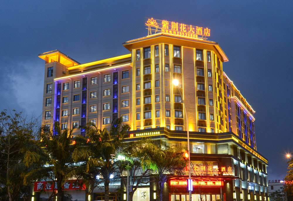 海南東方紫荊花大酒店
